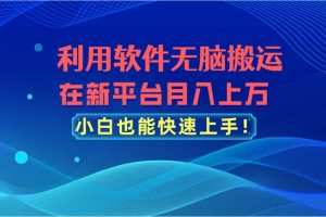 利用软件无脑搬运，在新平台月入上万，小白也能快速上手