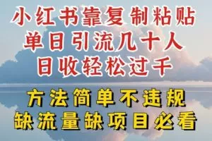 小红书靠复制粘贴单日引流几十人目收轻松过千，方法简单不违规