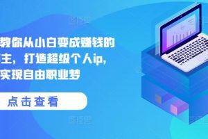 《宅百万》俱乐部-手把手教你从小白变成赚钱的创业博主，打造超级个人ip，实现自由职业梦