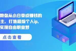 《宅百万》俱乐部-手把手教你从小白变成赚钱的创业博主，打造超级个人ip，实现自由职业梦