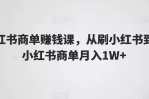 小红书商单赚钱课，从刷小红书到玩小红书商单月入1W+