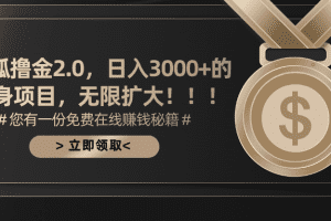搜狐撸金2.0日入3000+，可无限扩大的翻身项目