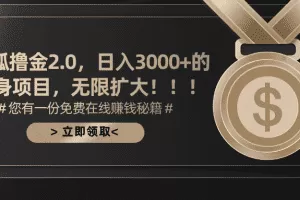 搜狐撸金2.0日入3000+，可无限扩大的翻身项目