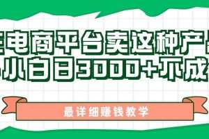 最新在电商平台发布这种产品，新手小白日入3000+不成问题，最详细赚钱教学