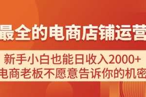 电商店铺运营教学，新手小白也能日收入2000+，电商老板不愿意告诉你的机密