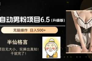 男粉项目6.5升级版，全自动男粉项目，日收入1K+