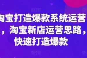淘宝打造爆款系统运营课，淘宝新店运营思路，快速打造爆款