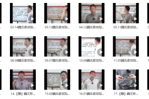 魏文彬老师《祛除顽痹一贴灵》