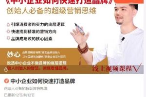 妙心－－中小企业如何快速打造品牌，创始人必备的超级营销思维