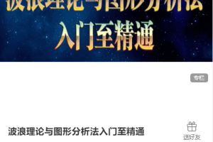 陈译辉-波浪理论与图形分析法入门至精通