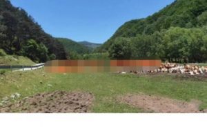 【波段之门】k线乾坤：kdj战法 PDF文档