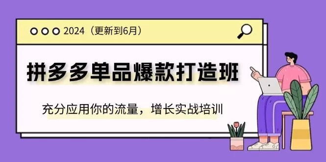2024拼多多-单品爆款打造班(更新6月)，充分应用你的流量，增长实战培训