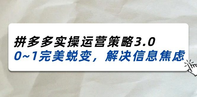 2024-2025拼多多实操运营策略3.0，0~1完美蜕变，解决信息焦虑（38节）
