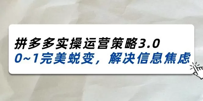 2024-2025拼多多实操运营策略3.0，0~1完美蜕变，解决信息焦虑（38节）