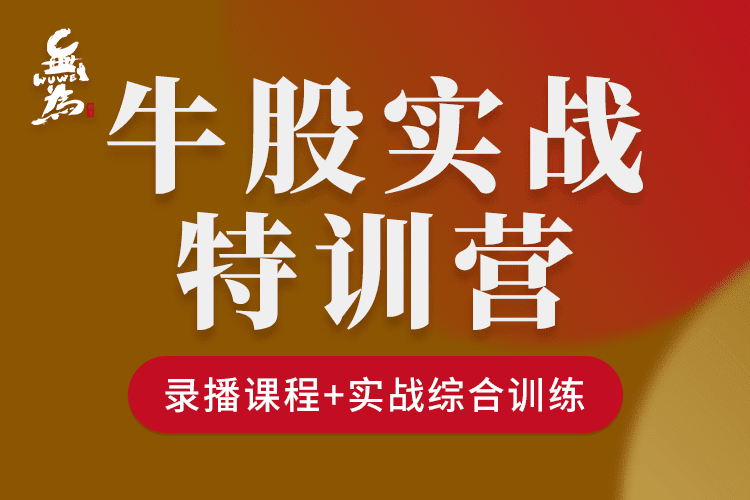 无为学院牛股实操特训营（1N） 47节