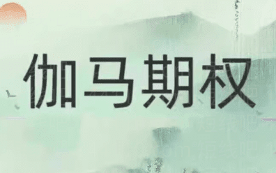 伽马期权2024年课程