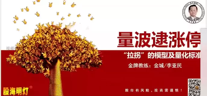 量学大讲堂金城李亚民量学擒龙伏击龙头第51期+量学14段位课