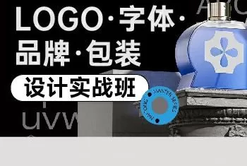 卢帅logo字体品牌包装设计实战班第5期【画质不错有大部分素材】