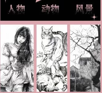 陌上人杨超零基础入门到高阶大神全体系速写+素描【画质不错只有视频】