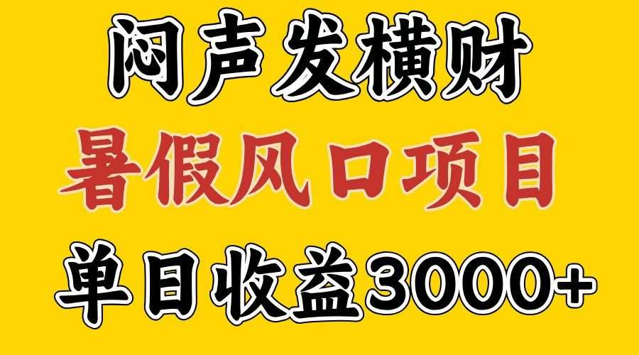 30天赚了7.5W 暑假风口项目，比较好学，2天左右上手