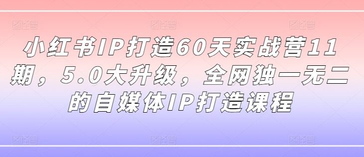 小红书IP打造60天实战营11期，5.0大升级，全网独一无二的自媒体IP打造课程