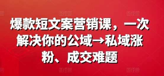 爆款短文案营销课，一次解决你的公域→私域涨粉、成交难题