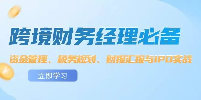 跨境财务经理必备:资金管理、税务规划、财报汇报与IPO实战
