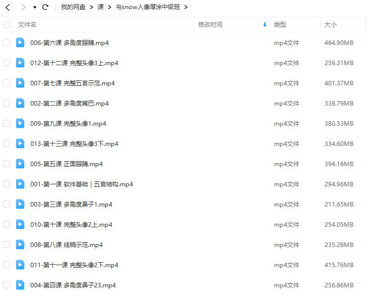 与snow人像厚涂中级班【画质不错只有视频】