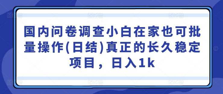 国内问卷调查小白在家也可批量操作(日结)真正的长久稳定项目，日入1k