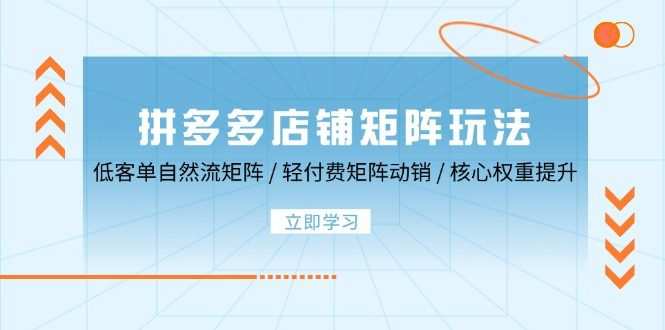 拼多多店铺矩阵玩法：低客单自然流矩阵 / 轻付费矩阵 动销 / 核心权重提升