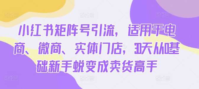 小红书矩阵号引流，适用于电商、微商、实体门店，30天从0基础新手蜕变成卖货高手
