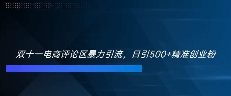 双十一电商评论区暴力引流，日引500+精准创业粉