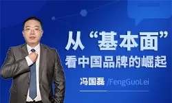 财学堂冯国磊《中国品牌的基本面分析一》系统课（14讲）