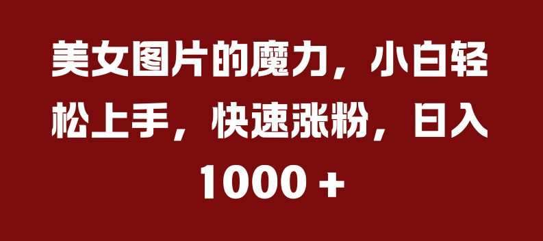 美女图片的魔力，小白轻松上手，快速涨粉，日入几张
