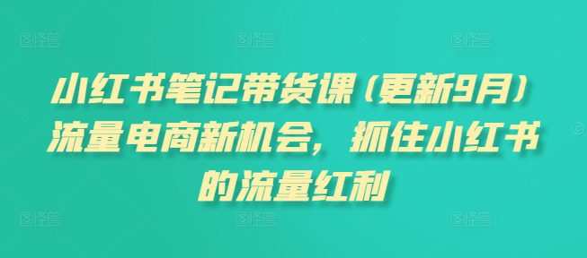 小红书笔记带货课(更新10月)流量电商新机会，抓住小红书的流量红利