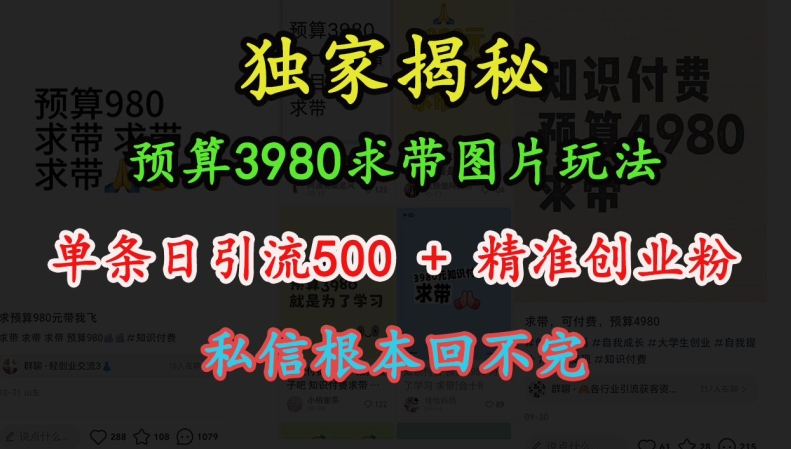 图片玩法,单条日引流500+精准创业粉,私信根本回不完