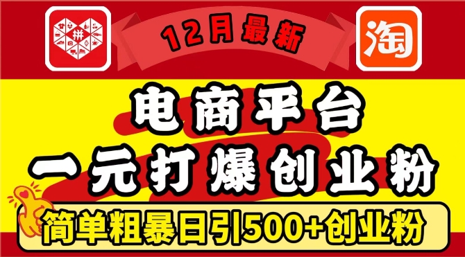 12月最新:电商平台1元打爆创业粉,简单粗暴日引500+精准创业粉