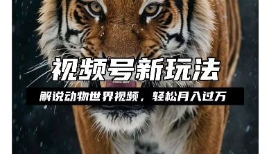 利用动物世界解说视频,赚分成计划收益,轻松月入过W,操作简单【揭秘】