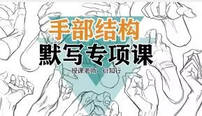 衍知行手部结构默写专项课【画质高清只有视频】