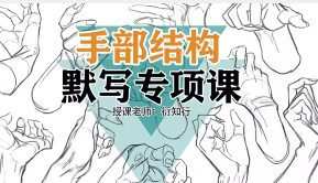 衍知行手部结构默写专项课【画质高清只有视频】