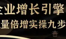 企业增长引擎流量倍增实操九步曲，一套课程帮你找到快速、简单、有效、可复制的获客+变现方式