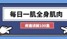 每日一肌全身肌肉疼痛讲解（100集视频）