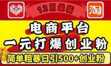 12月最新：电商平台1元打爆创业粉，简单粗暴日引500+精准创业粉