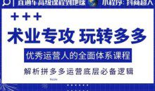 术业专攻玩转多多，优秀运营人的全面体系课程，解析拼多多运营底层必备逻辑