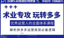 术业专攻玩转多多，优秀运营人的全面体系课程，解析拼多多运营底层必备逻辑