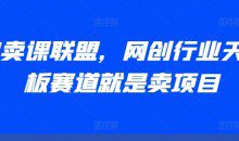 AI卖课联盟，网创行业天花板赛道就是卖项目