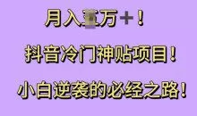 抖音冷门神贴项目，小白逆袭的必经之路