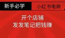 小红书零食共创【新手易上手】开个店铺，发发笔记把钱赚