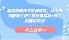 跨境电商独立站训练营，从小白到精通手把手教你做跨境+独立站建站实战