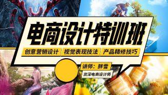 胖雪电商设计速成班【画质不错有大部分素材】